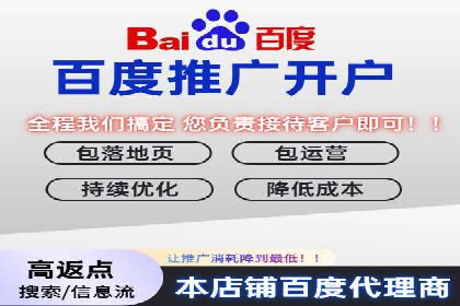 某电商企业如何利用百度搜索推广提升销售额